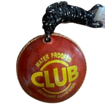 Apex Club Hanging Ball p1