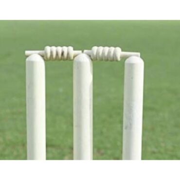 Apex M.C.C Cricket Stumps and Bails p4