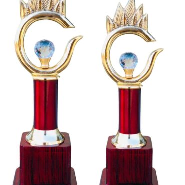 S5-Trophies Are Made Out Of Metal (Prices are Inclusive of both the trophies)