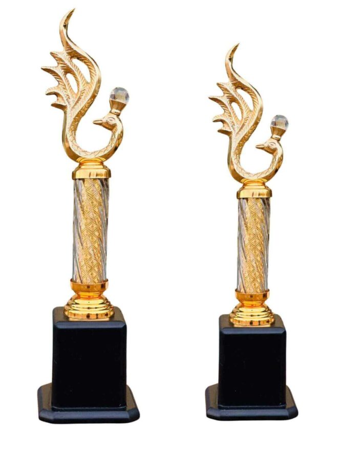 Trophies Are Made Out Of Metal (Prices are Inclusive of both the trophies) -S8