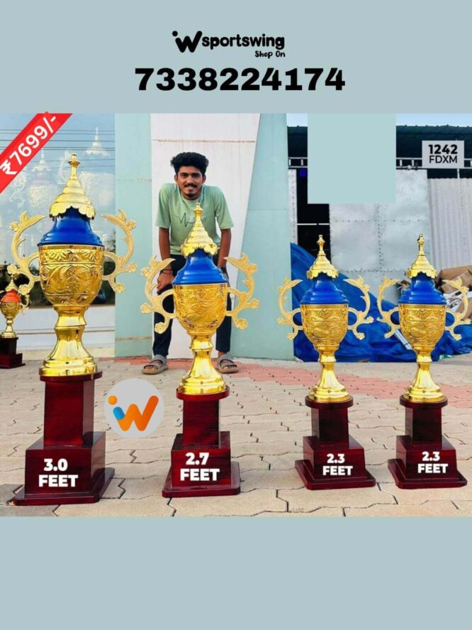 18-Trophies Are Made Out Of Fiber (Prices are Inclusive for all the Four trophies)-Blue