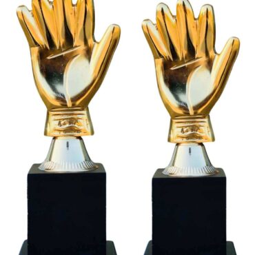 Trophies Are Made Out Of Metal (Prices are Inclusive of both the trophies)-S1