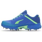 Puma Spike 22.2 Mens Cricket Shoes (Blue) P1