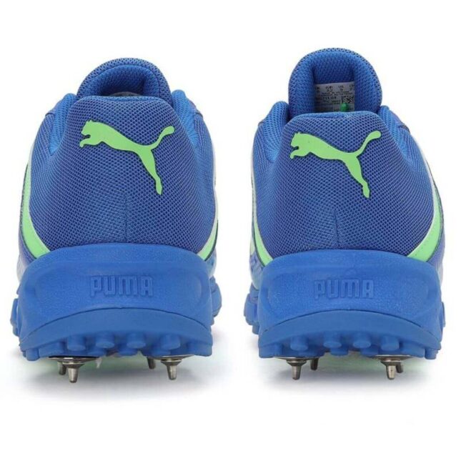 Puma Spike 22.2 Mens Cricket Shoes (Blue) P3