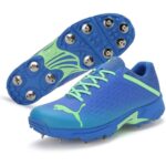 Puma Spike 22.2 Mens Cricket Shoes (Blue) P2