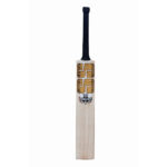SS World Cup Kashmir Willow Cricket Bat – SH P2