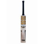 SS World Cup Kashmir Willow Cricket Bat – SH P3