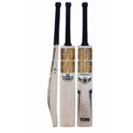 SS World Cup Kashmir Willow Cricket Bat – SH