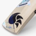 DSC Condor Players Edition English Willow Cricket Bat P2