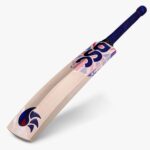 DSC OvalZ English Willow Cricket Bat p2