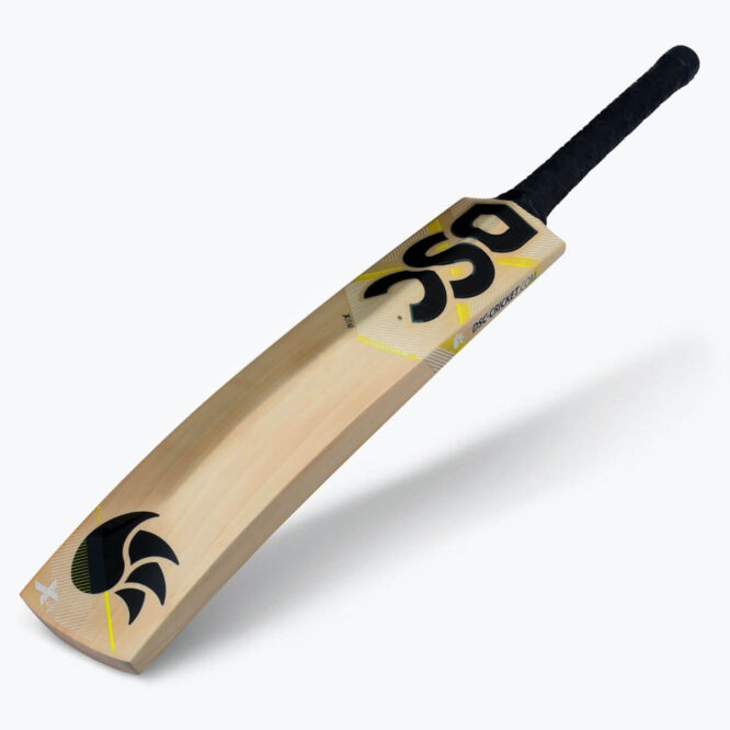 DSC Xlite 4.0 English Willow Cricket Bat P2