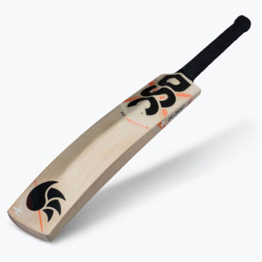 DSC Xlite 5.0 English Willow Cricket Bat p1