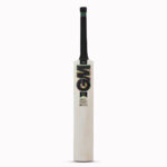 GM Hypa Signature+ English Willow Cricket Bat-SH