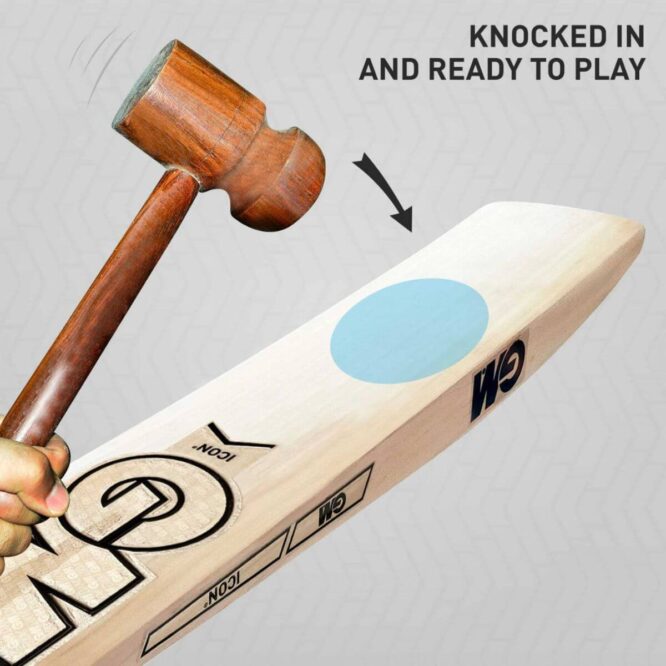 GM Icon Pro Edition English Willow Cricket Bat (Made in U.K.) P3